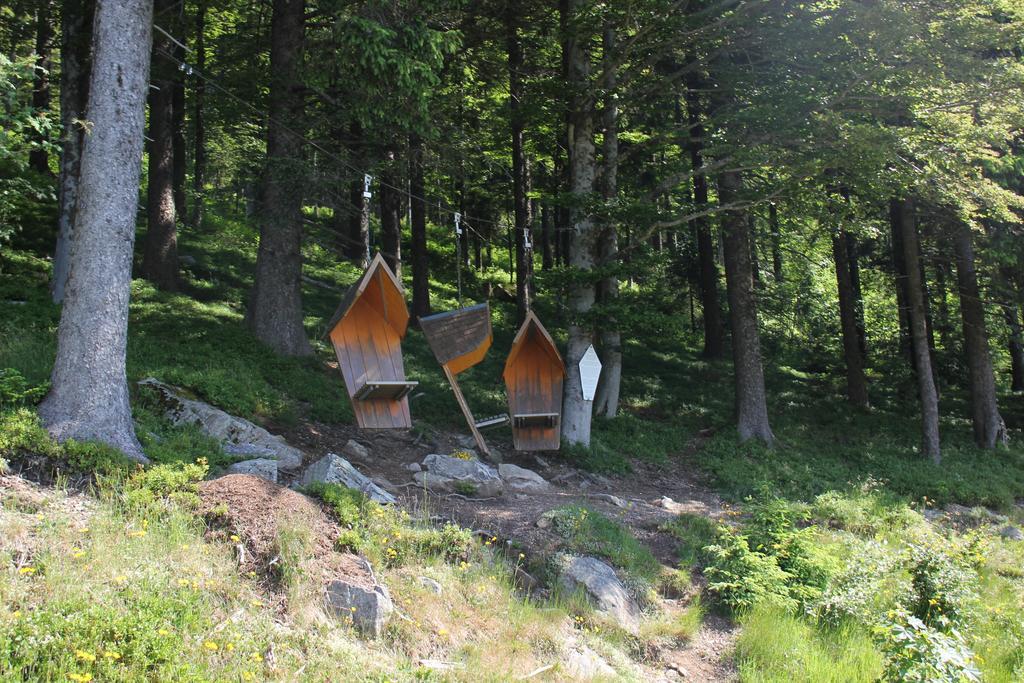 Pension Gloecklehof Todtnauberg Cameră foto