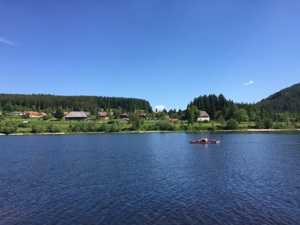 Pension Gloecklehof Todtnauberg Cameră foto