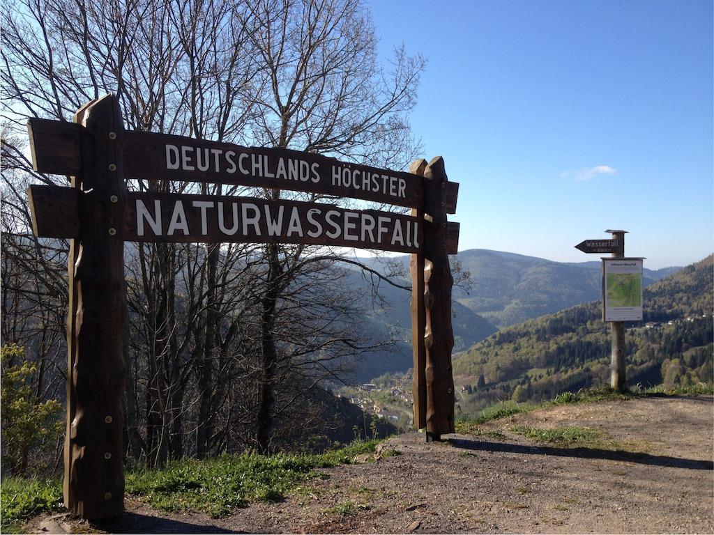 Pension Gloecklehof Todtnauberg Cameră foto